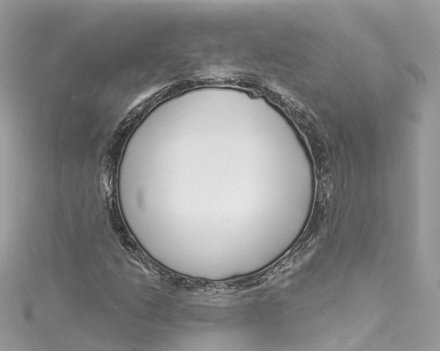 X0000115221206200911181542