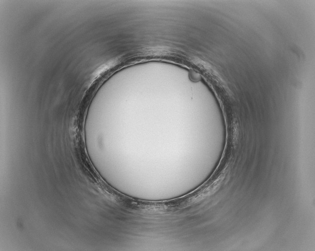 X0000115221210200911181542