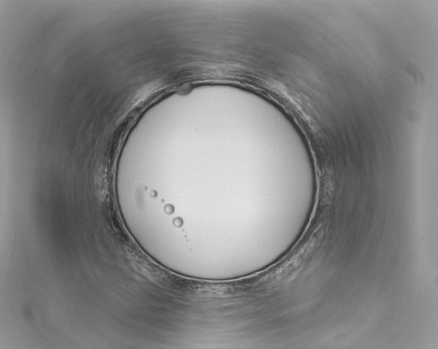 X0000115221211200911181542