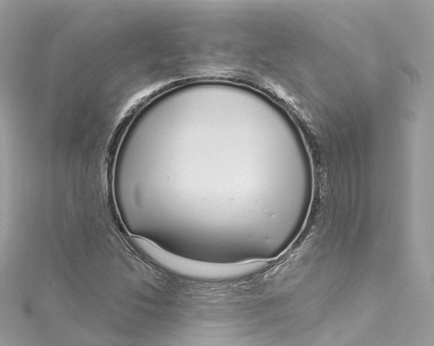 X0000115221214200911181542