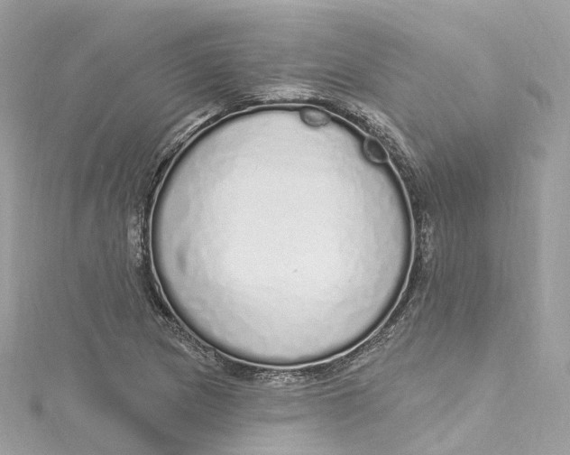 X0000115221217200911181542
