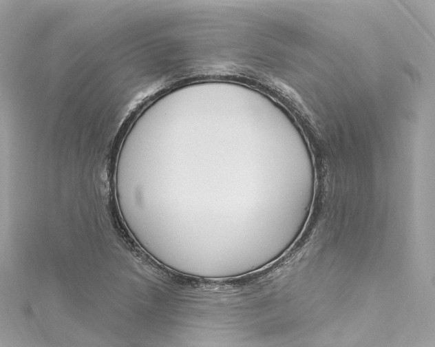 X0000115221218200911181542