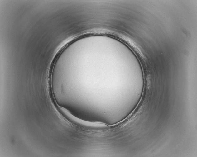 X0000115221229200911181542