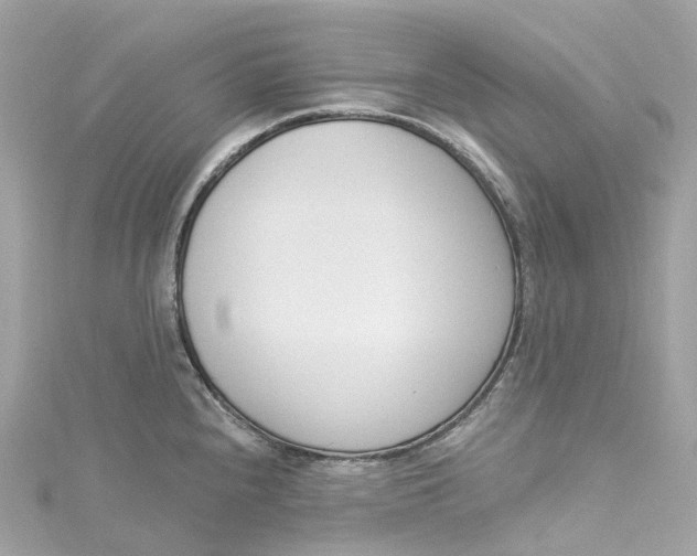 X0000115221240200911181542