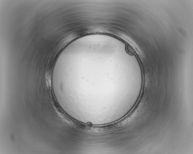 X0000115221241200911181542