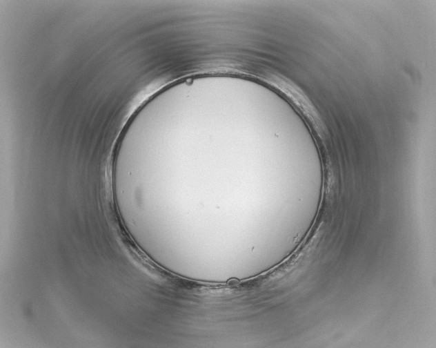 X0000115221242200911181542