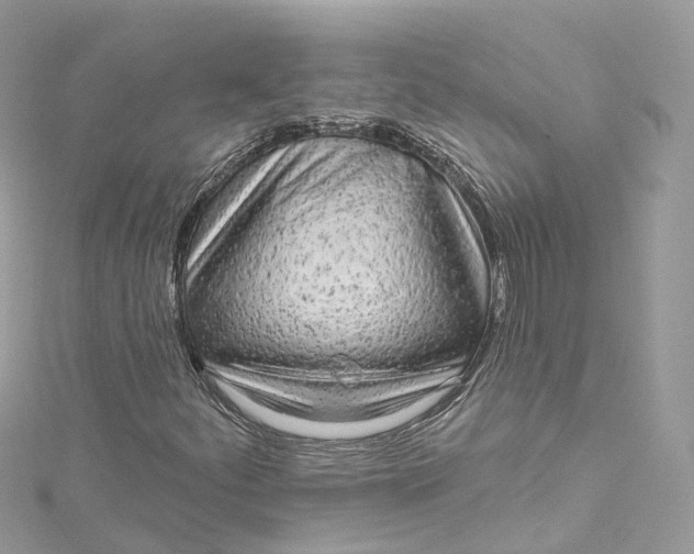 X0000115221252200911181542