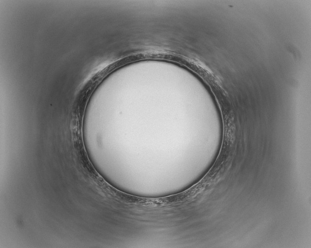 X0000115221255200911181542