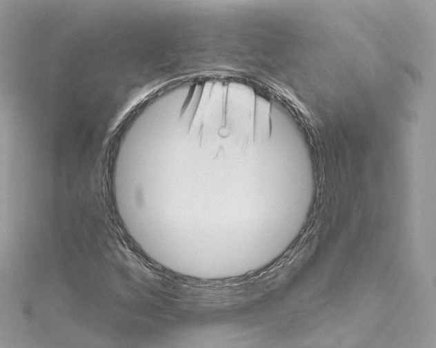 X0000115221256200911181541