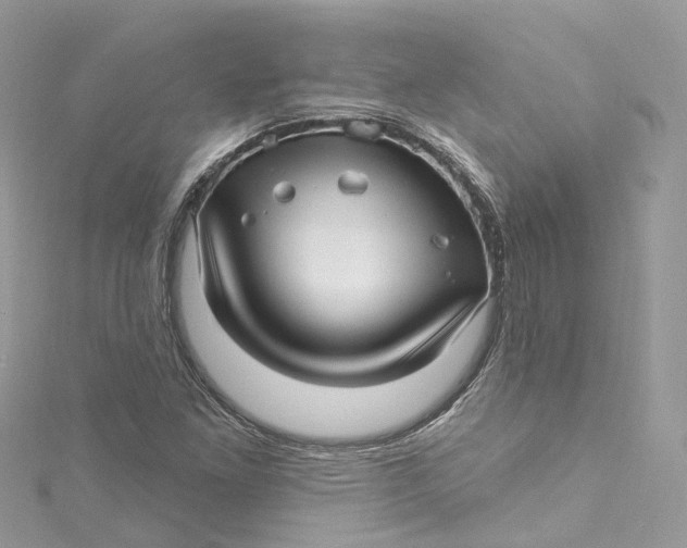 X0000115221261200911181541