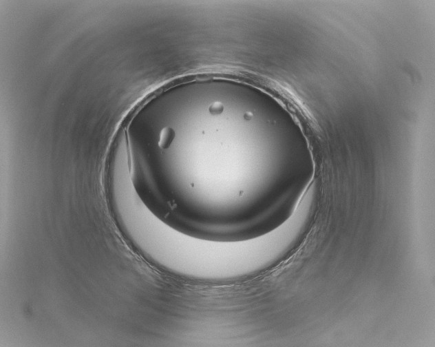 X0000115221268200911181541
