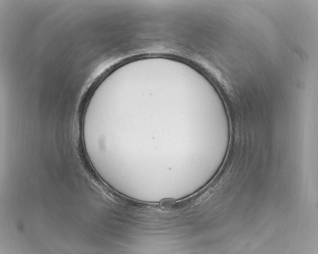 X0000115221270200911181541