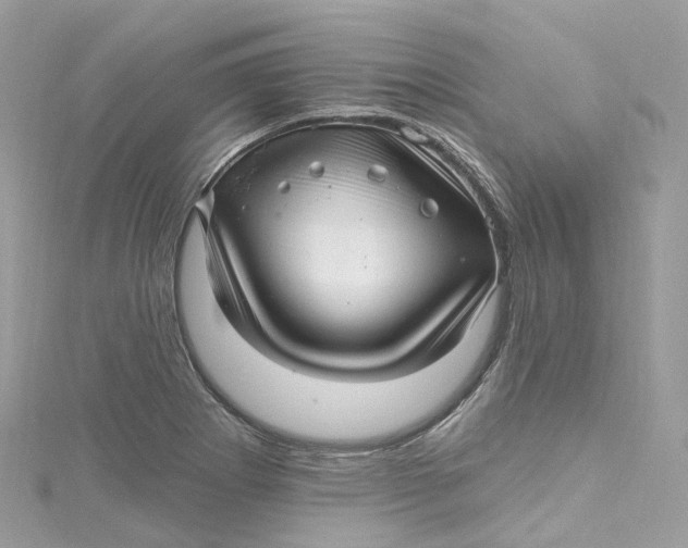 X0000115221273200911181541