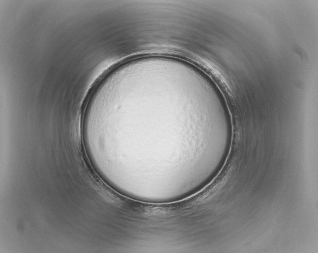 X0000115221275200911181541