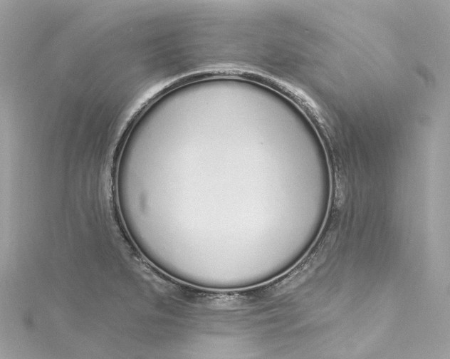X0000115221279200911181541