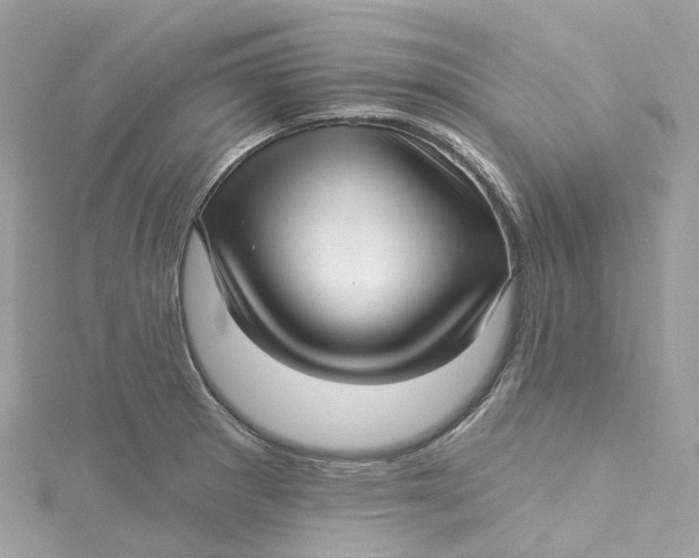 X0000115221281200911181541