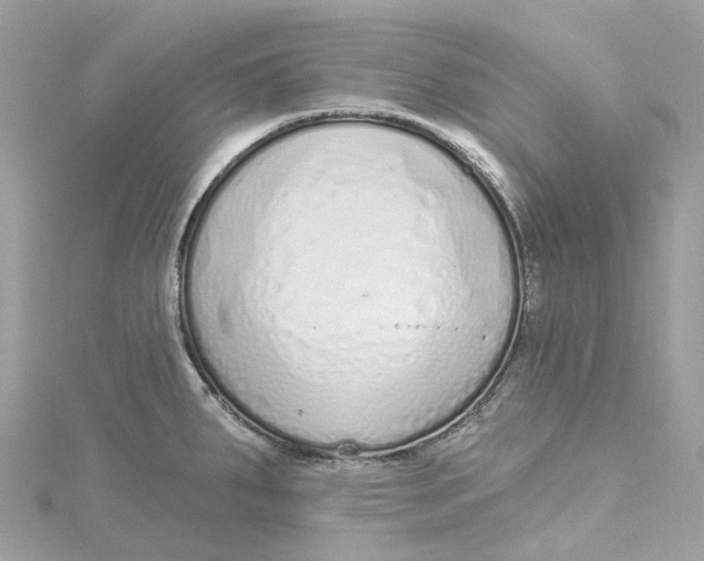 X0000115221287200911181541