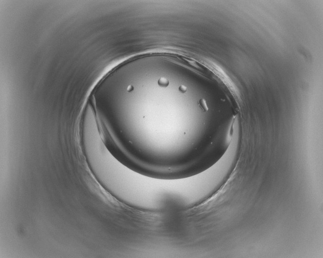 X0000115221292200911181541
