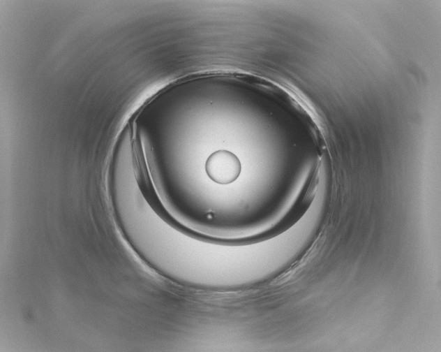 X0000115221293200911181541