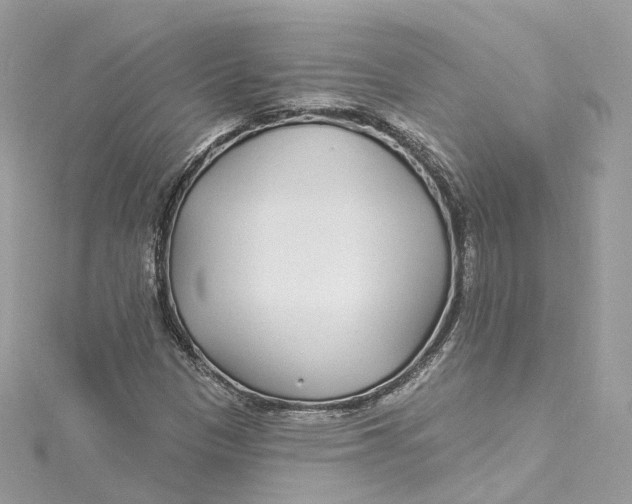X0000115221305200911181540