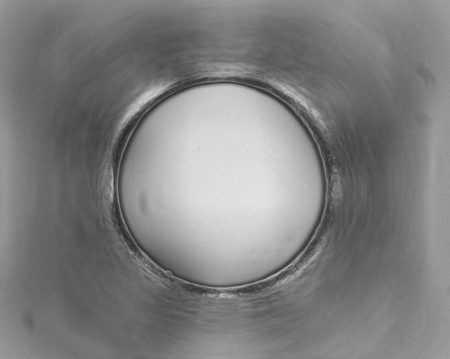 X0000115221317200911181541