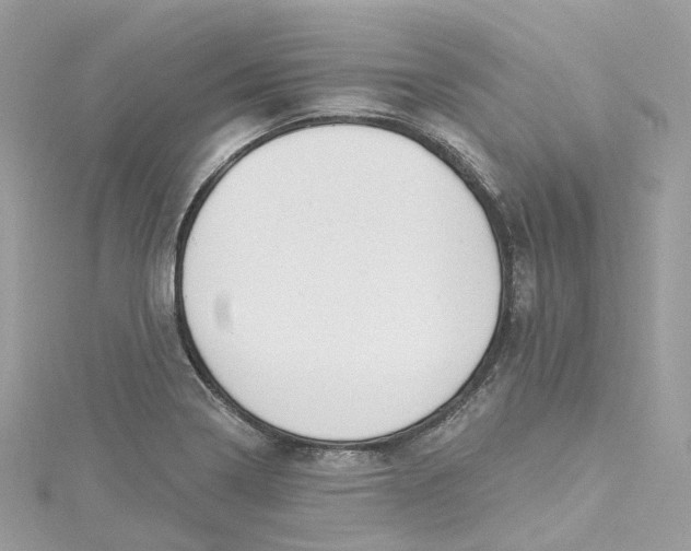 X0000115221322200911181541