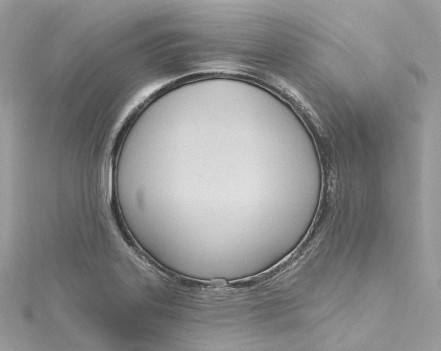 X0000115221323200911181541