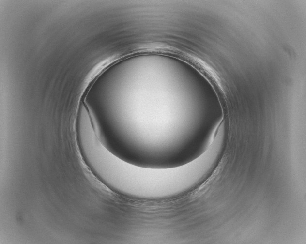 X0000115221330200911181541
