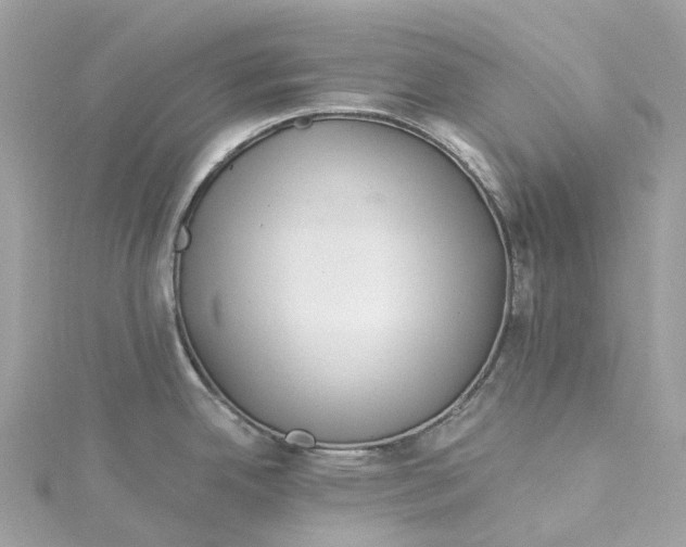 X0000115221342200911181541