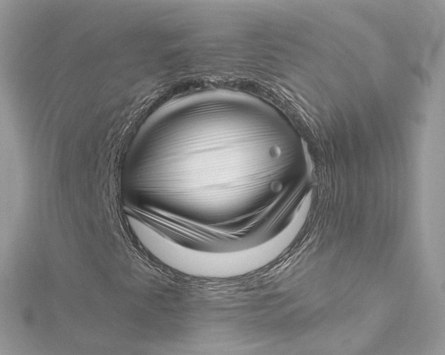 X0000115221345200911181540