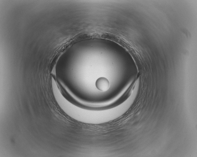 X0000115221348200911181540