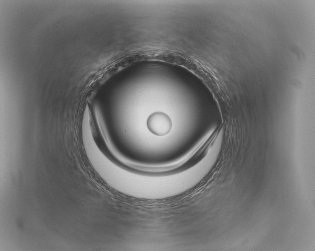X0000115221349200911181540