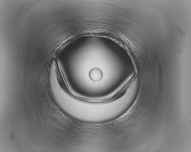 X0000115221353200911181540