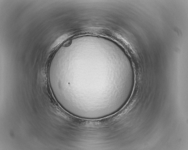 X0000115221354200911181540