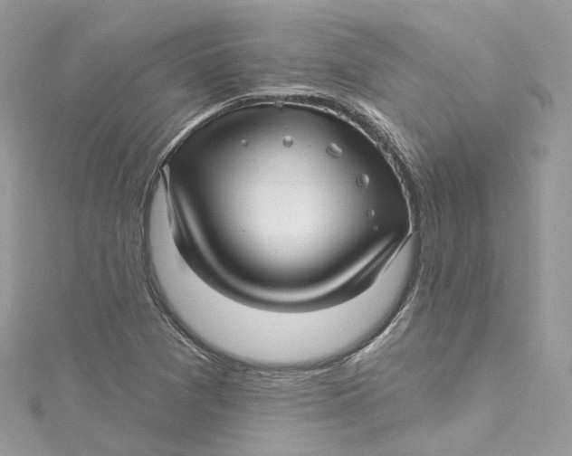 X0000115221361200911181540
