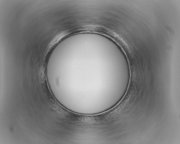 X0000115221362200911181540