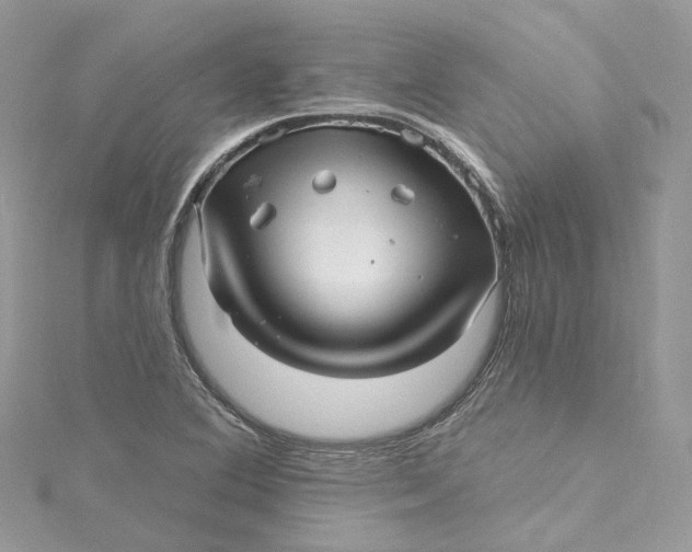 X0000115221364200911181540