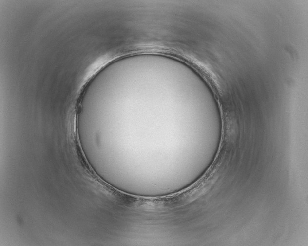 X0000115221365200911181540