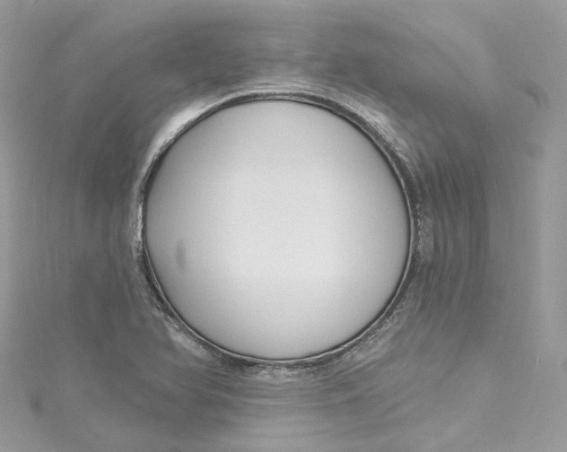 X0000115221366200911181540