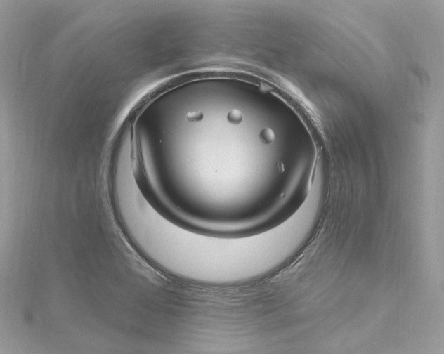 X0000115221368200911181540