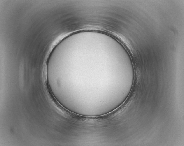 X0000115221371200911181540