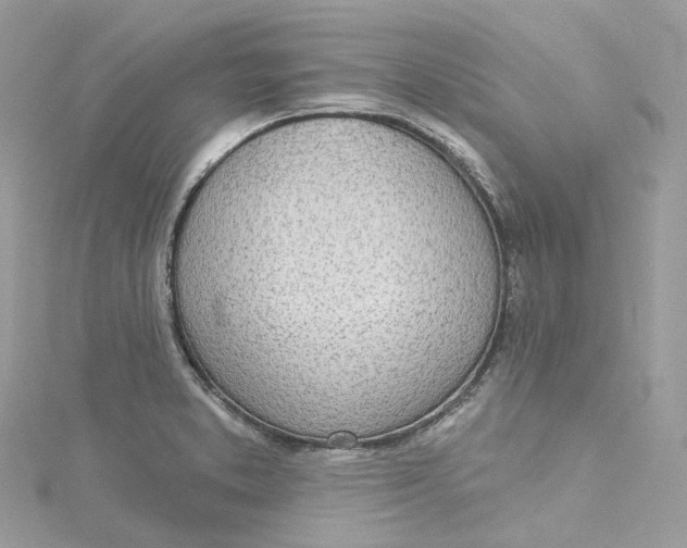 X0000115221373200911181540