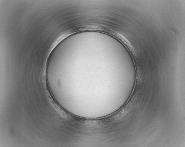 X0000115221378200911181540