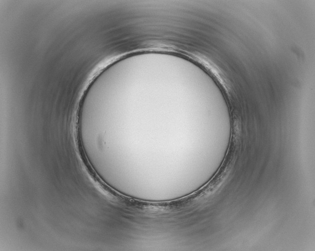 X0000115221379200911181540