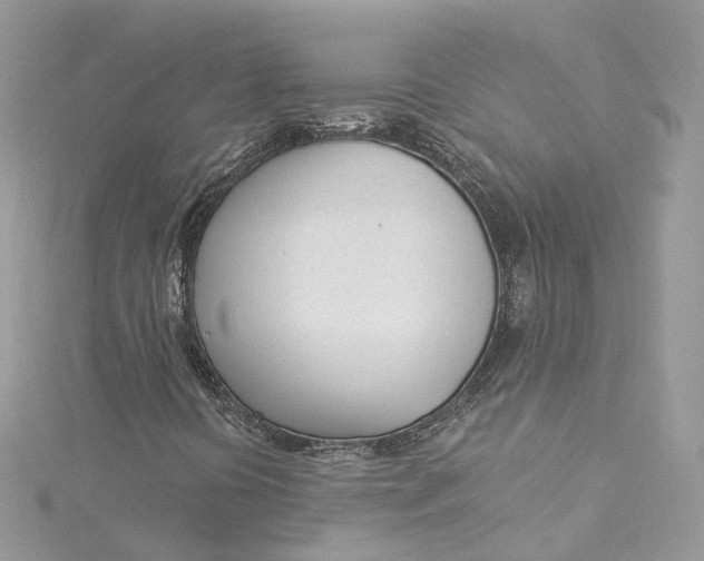 X0000115221394200911181539