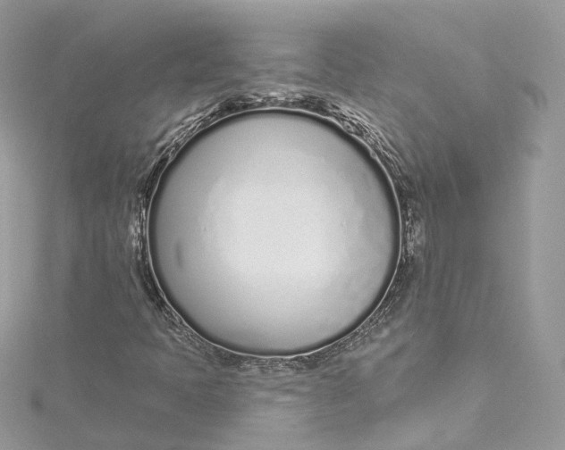 X0000115221397200911181539