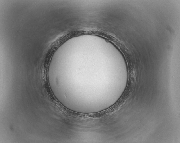 X0000115221398200911181539