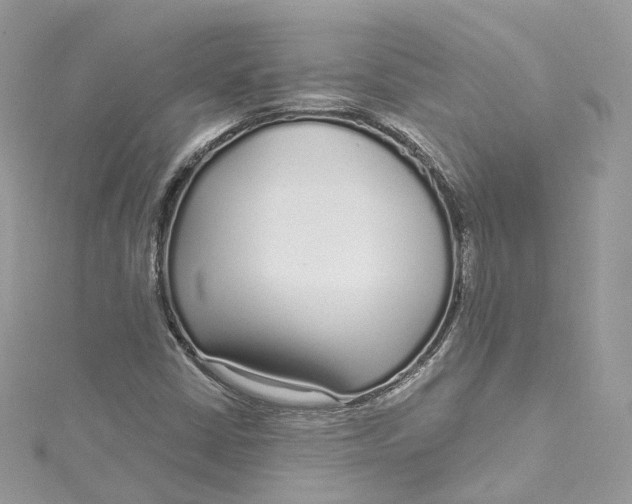 X0000115221402200911181539