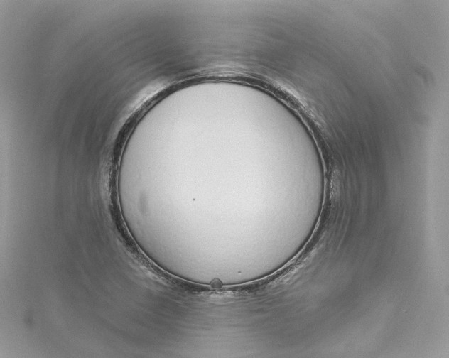 X0000115221410200911181539