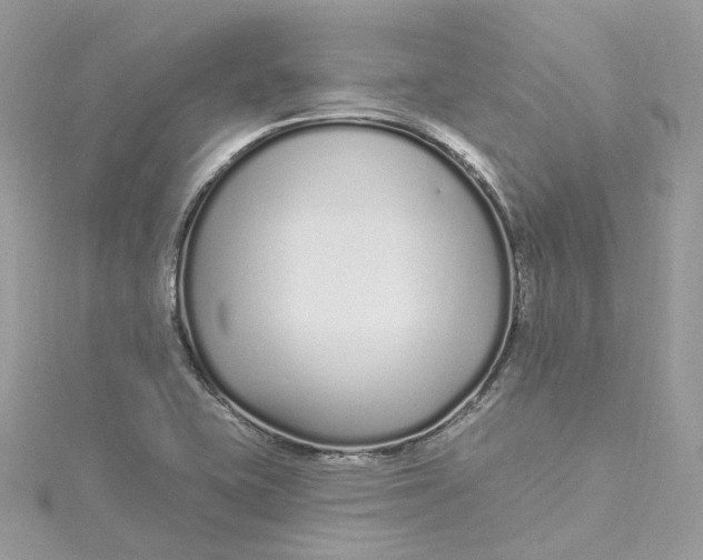 X0000115221415200911181539